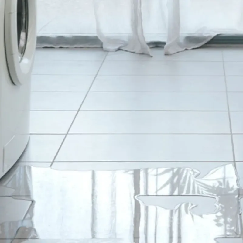 Appliance Leak Cleanup in Erwin, NC