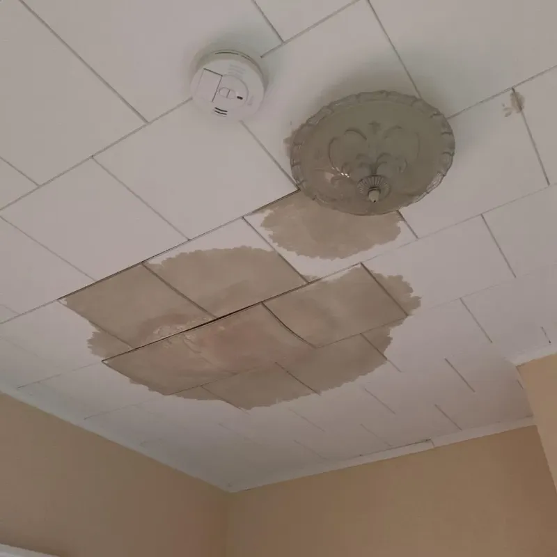 Ceiling Water Damage Repair in Erwin, NC