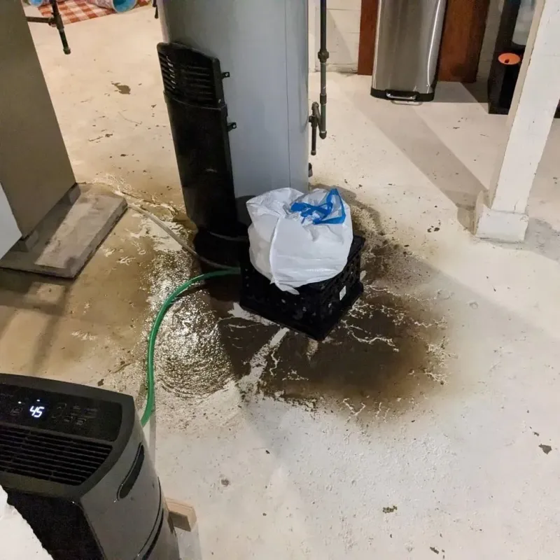 Sewage Backup Cleanup Service in Erwin, NC